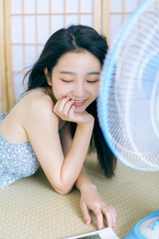 金装的维梅尔
